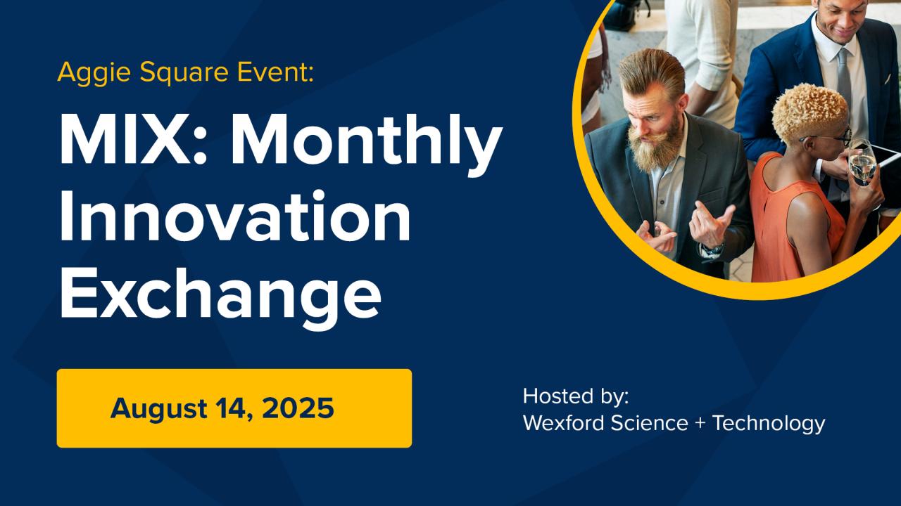 Graphic with a photo of people mingling and an event title: MIX: Monthly Innovation Exchange