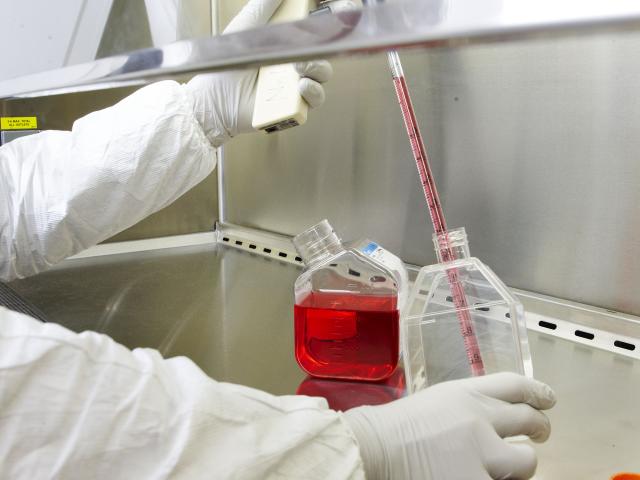 A photo of a researcher's gloved hands drawing fluid from a container with a long vial.