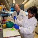 A man and a woman wearing lab coats work at a lab bench. 